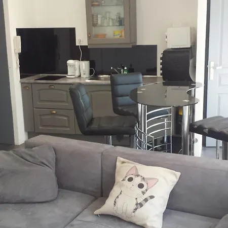 Studio Centre Ville St Raphael Apartman